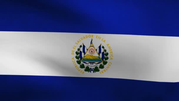 Vlag van El salvador-land — Stockvideo