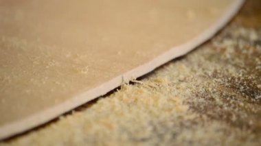 marangoz, usta veya luthier, ahşap tahta planya ile zımpara.