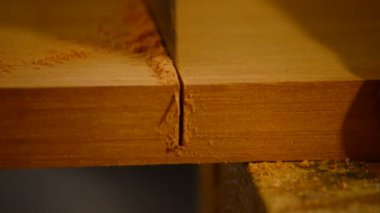 luthier, marangoz, usta, testere, ağaç kesme yakın