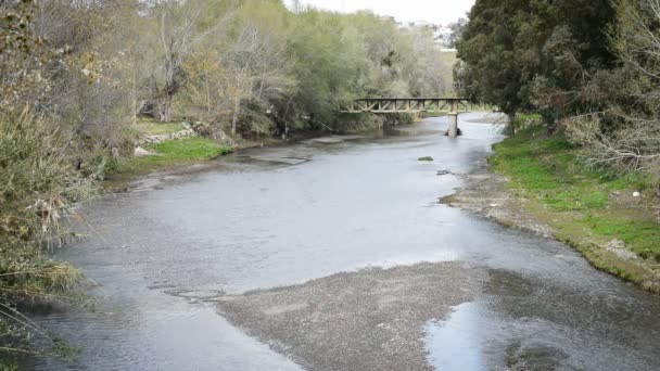 Vecchio ponte con un piccolo fiume che scorre — Video Stock