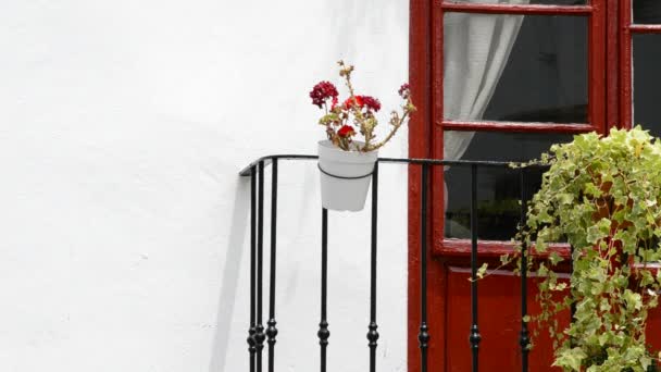 Flores rosadas en balcón — Vídeo de stock