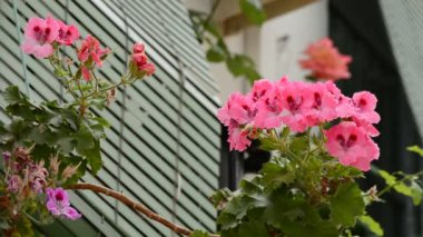 tipik Endülüs balkon