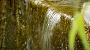 kadar çalışan, yakın su