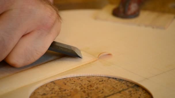 Luthier trabalhando em uma capa harmônica de guitarra — Vídeo de Stock