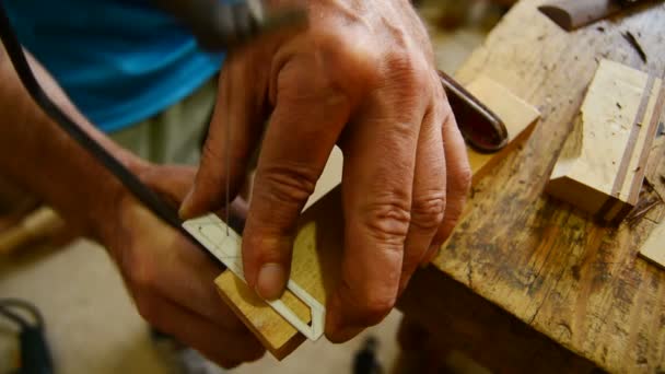 Luthier corta madera con sierra, guitarra flamenca — Vídeo de stock