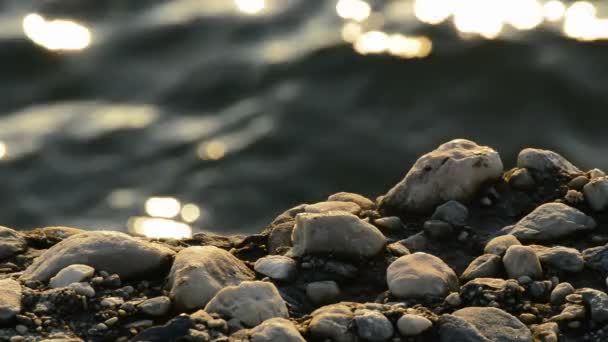 Horniny při západu slunce s mořem — Stock video