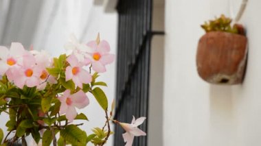tipik Endülüs balkon