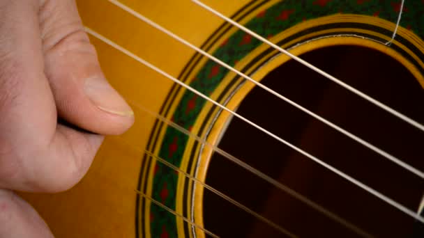 Instrumentmakare spelar strängarna på en gitarr — Stockvideo