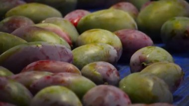 Mango meyve paketleme hattı