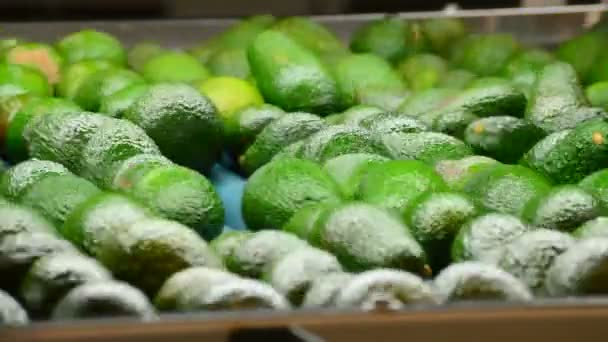 Aguacates — Vídeos de Stock