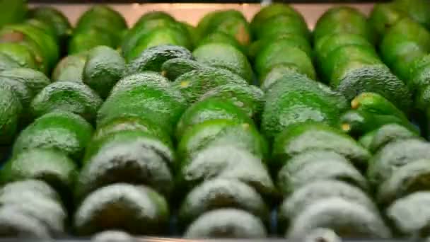 Avocados rollen in einer industriellen Verpackungslinie — Stockvideo