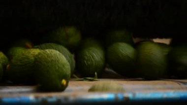 Avokado içinde linepack