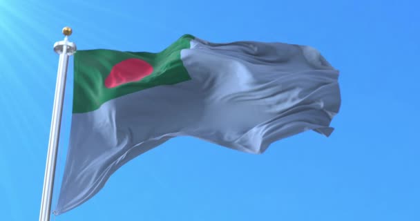 Flagge Der Bangladesh Coast Guard Schleife — Stockvideo