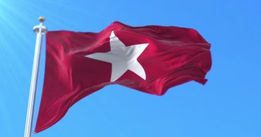 Jane Long Flag, ikinci Teksas Cumhuriyeti, Birleşik Devletler. Döngü