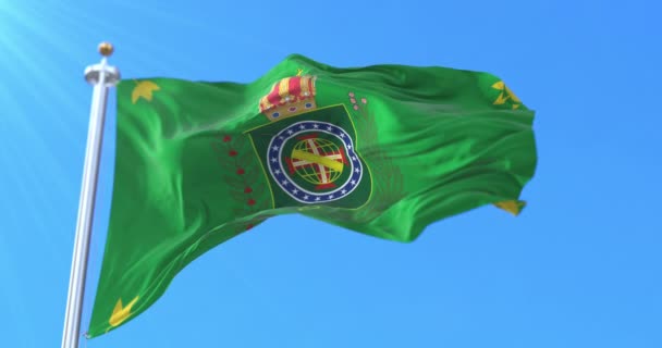 Bandiera Imperiale Dell Impero Brasiliano Ciclo — Video Stock