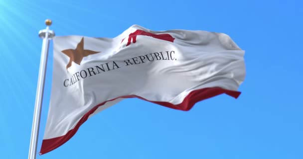 Bear Flag Originele Vlag Van Californië Verenigde Staten Lijn — Stockvideo