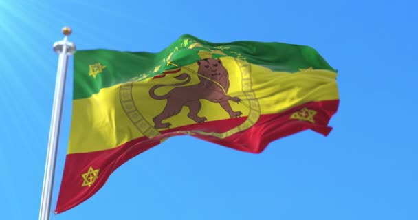 Keizerlijke Standaard Van Haile Selassie Keizer Van Ethiopië Lijn — Stockvideo