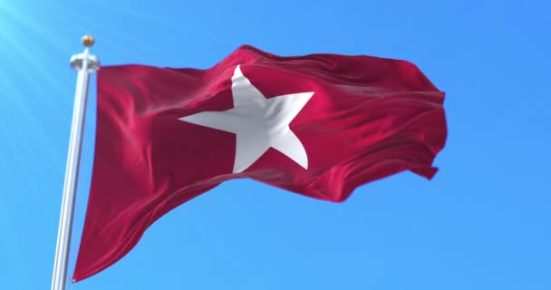 Jane Long Flag Ikinci Teksas Cumhuriyeti Birleşik Devletler Döngü — Stok video