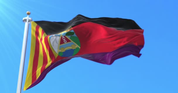 Vlag Van Regionale Defensieraad Van Aragon Spanje Lijn — Stockvideo