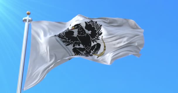 Porosz Királyság Zászlója Hurok — Stock videók