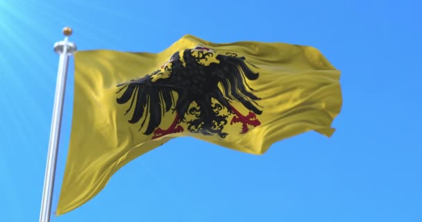 Cesarska Flaga Świętego Cesarstwa Rzymskiego Pętla — Wideo stockowe