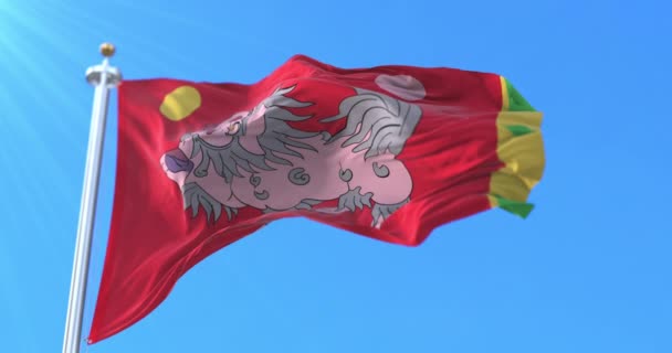 Imperialny Standard Imperium Tybetańskiego Pętla — Wideo stockowe