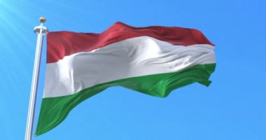 Ocotepeque Departmanı Bayrağı, Honduras. Döngü