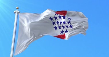 Merkez Departmanı Bayrağı, Paraguay. Döngü