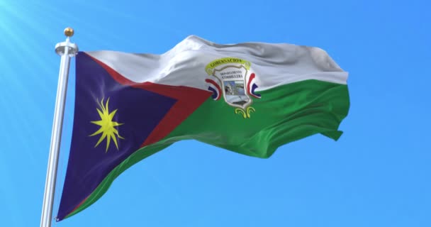 Cordillera Department Flag Paraguay Ögla — Stockvideo