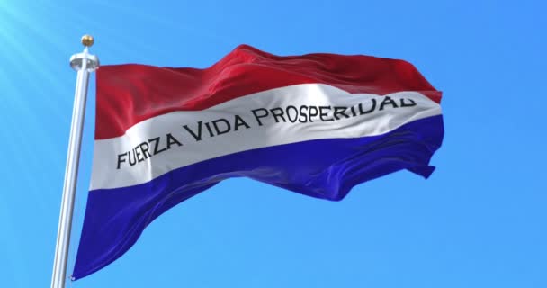 Alto Paraguay Department Flag Paraguay Ögla — Stockvideo