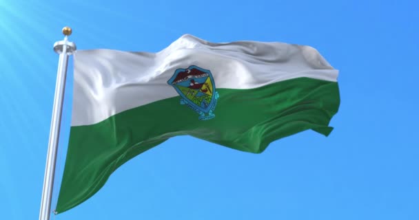 Zamora Flag Zamora Chinchipe Ecuador — 图库视频影像
