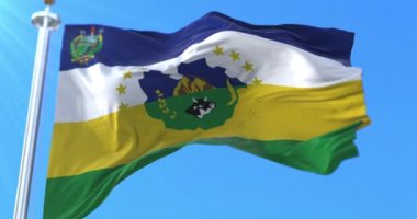 Guarico Eyalet Bayrağı, Venezuela. Döngü