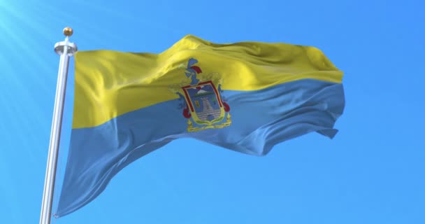 Bandera Latacunga Ecuador Bucle — Vídeo de stock