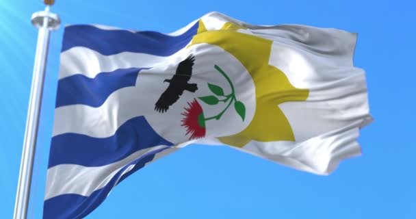 Флаг Департамента Трейнта Трес Уругвай Петля — стоковое видео
