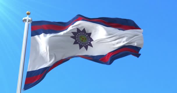 Σημαία Του Τμήματος Paysandu Της Ουρουγουάης Βρόχος — Αρχείο Βίντεο