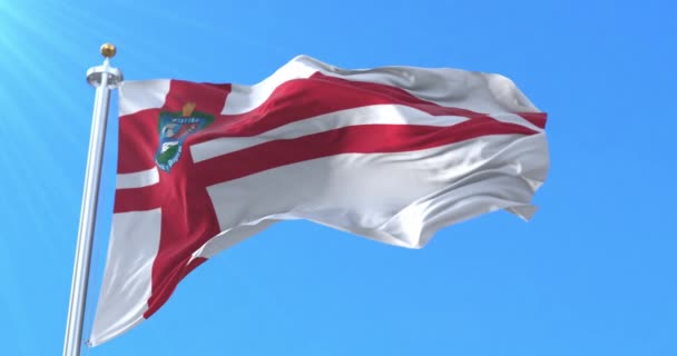 Bandera Del Departamento Florida Uruguay Bucle — Vídeo de stock