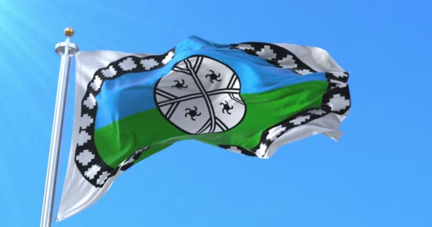 Прапор Території Лафкенче Петля — стокове відео