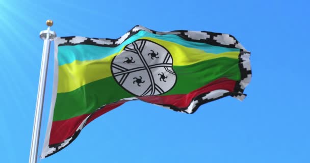 Флаг Территории Нагче Петля — стоковое видео