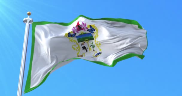 Tingo Maria Flag Peru Lijn — Stockvideo