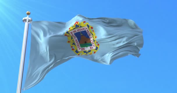 Huancavelica Flag Peru Smyčka — Stock video