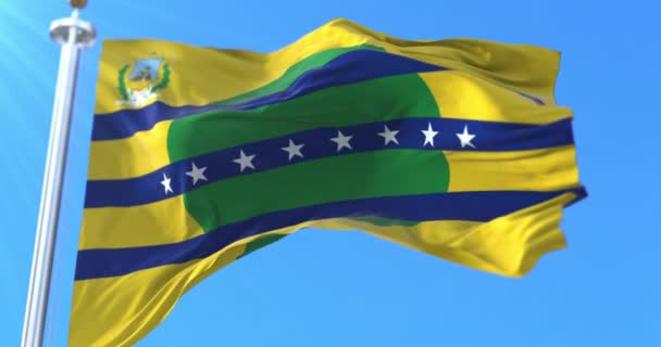 Bandiera Dello Stato Bolivar Venezuela Ciclo — Video Stock