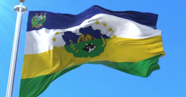 Guarico State Flag Βενεζουέλα Βρόχος — Αρχείο Βίντεο