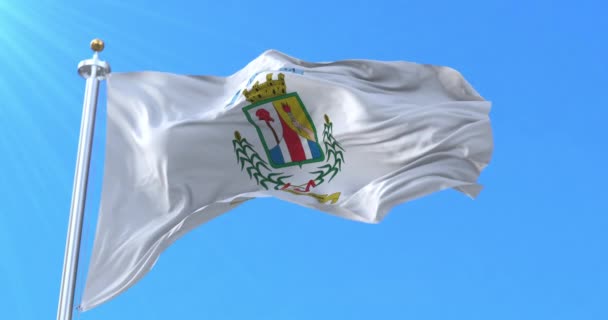 Vlag Van Provincie Alajuela Costa Rica Lijn — Stockvideo