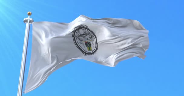 Ocotal Flag Nueva Segovia Nicaragua Петля — стокове відео