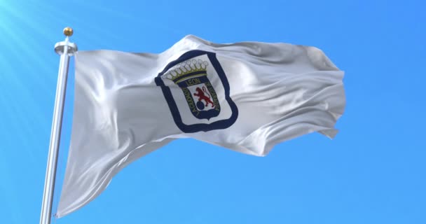 Bandera León Nicaragua Bucle — Vídeos de Stock