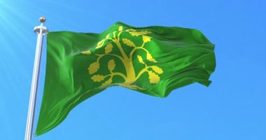 Norveç, Vest-Agder Fylke bayrağı. Döngü