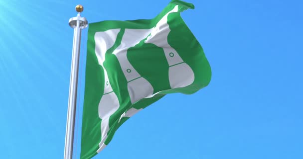 Σημαία Hedmark Fylke Νορβηγία Βρόχος — Αρχείο Βίντεο
