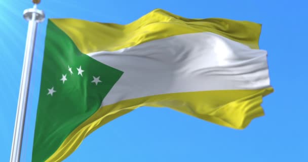 Panama Oeste Provinsen Flagga Panama Ögla — Stockvideo