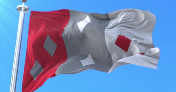 Cocle Provinz Flagge Panama Schleife — Stockvideo