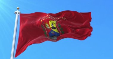 Venezuela Ulusal Milis Teşkilatı bayrağı. Döngü
